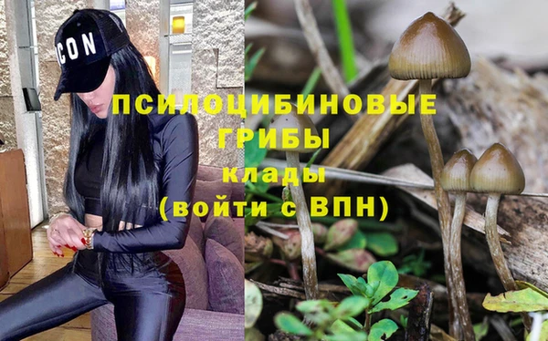 МДМА Долгопрудный