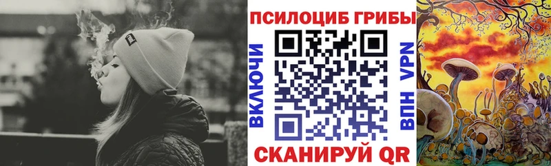 OMG ONION  Струнино  Псилоцибиновые грибы мицелий  магазин продажи  
